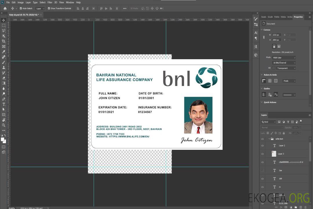 Carte d'assurance maladie de Bahreïn BNL template